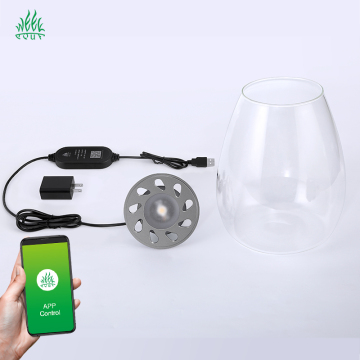 Hot Sales WEEK: AQUA Mini7Pro-O Landscape Bottle Lamp for Aquariums and Reptile Tanks