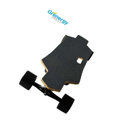 Balance Stand up Electric Motorized Skateboard