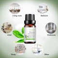 Water Soluble Ravensara Essential Oil For Healthcare Massage