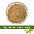 Phyllanthus emblica extract for sale