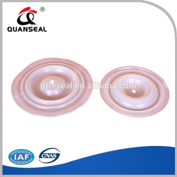 PTFE DIAPHRAGM