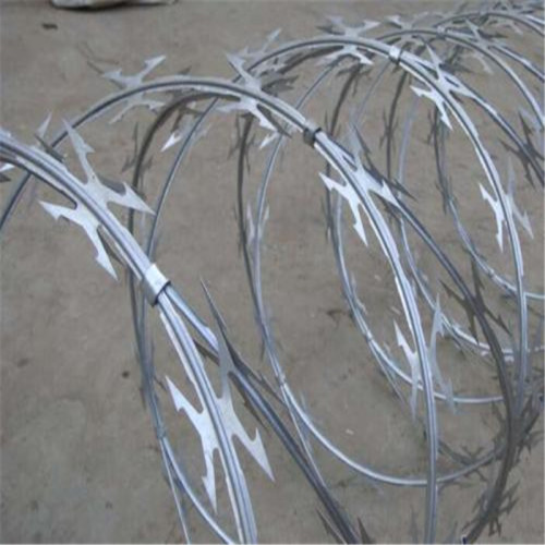 Hot sale safety razor barbed wire for fencing