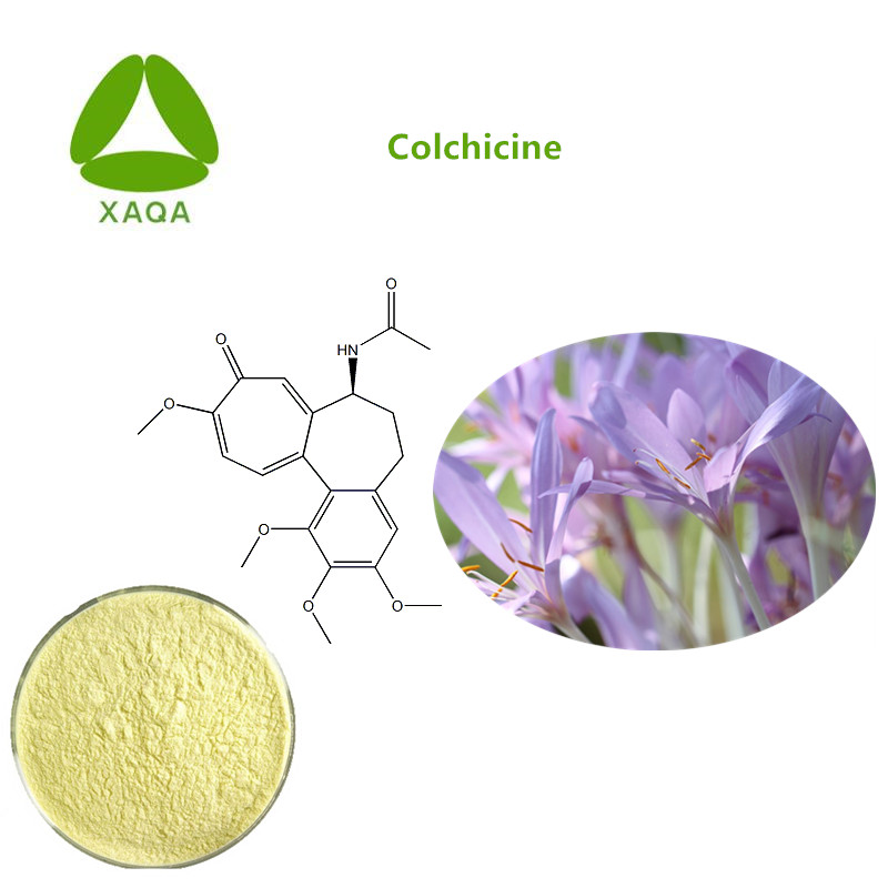 Controle Gout Colchicum Autumnale Extract Powder Colchicine