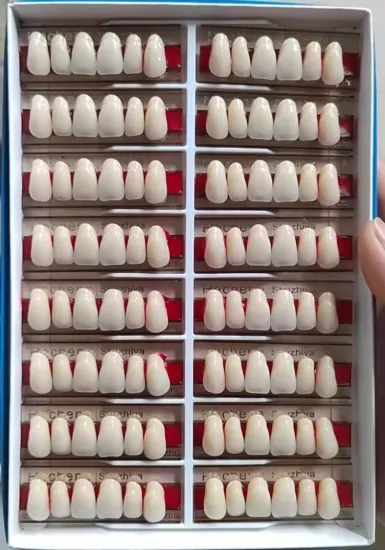 Dental Full Set Denture Two Layers resin teeth