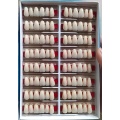 Dental Full Set Denture Two Layers resin teeth