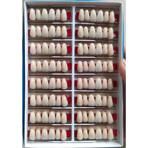 Dental conjunto completo dentamiento de dos capas dientes de resina