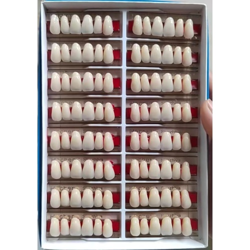 Dentaire Full Set Denture Two couers Resin Dentans