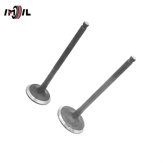 IMIL Brand 13715-30030 Exhaust Valve for Toyota HILUX SURF/FORTUNER/HILUX/HIACE/DYNA/LAND CRUISER/PRADO