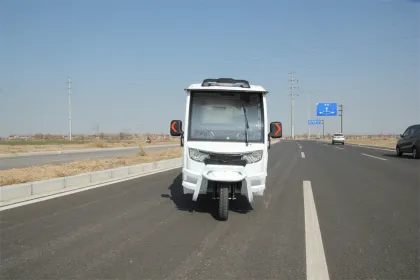 Handlebar type 1000V motor electric tricycle