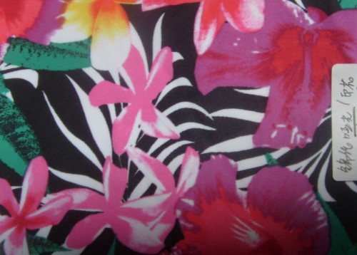 Printed Swimming Cloth Fabric (XF003B)