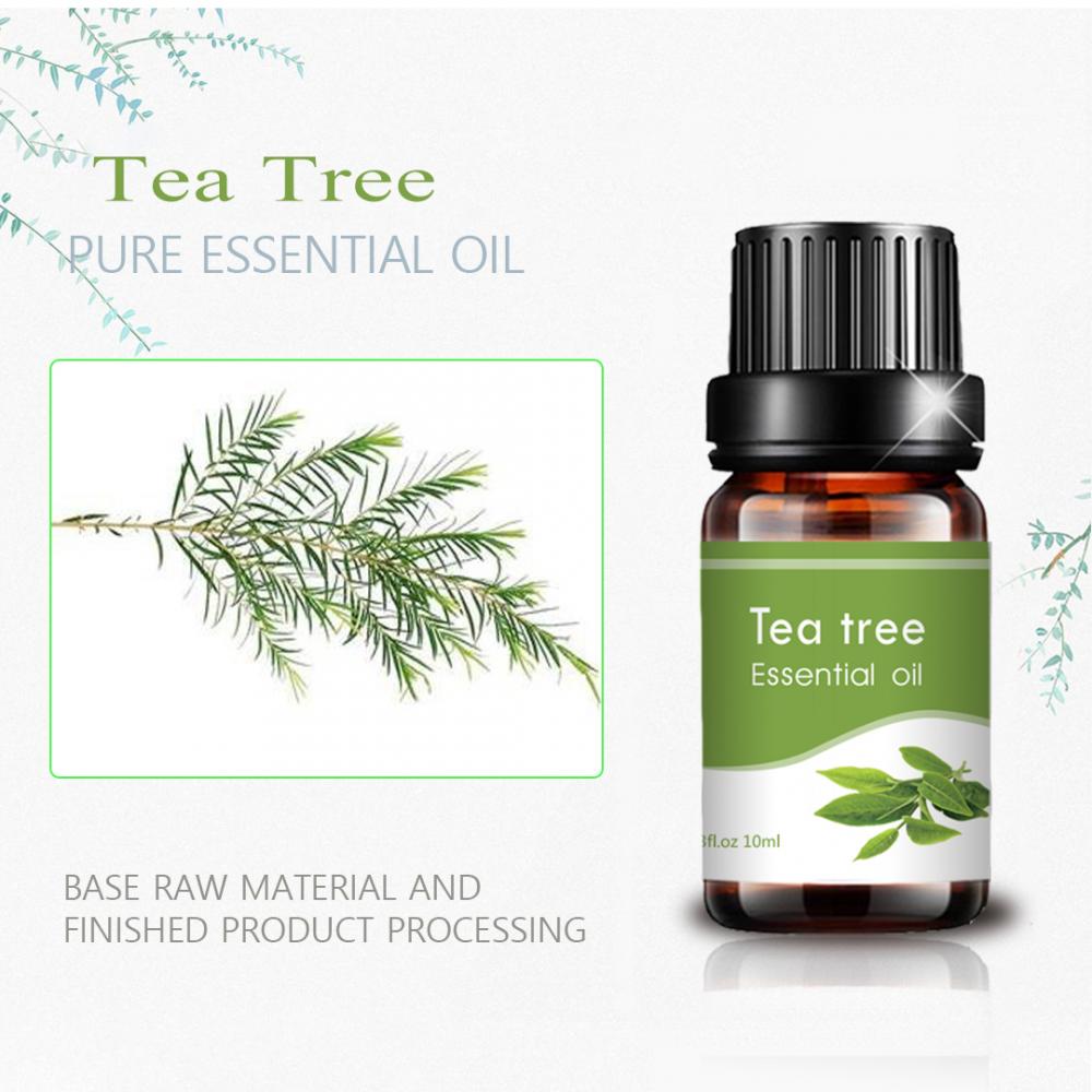 10ml Australian tea tree essential oil 100% pure for soap