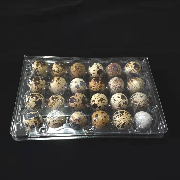 Wholesale Quail Eggs Tray Blister Box Clamshell Packaging