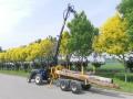 Log Wood Timber Crane Loader Log Trailer