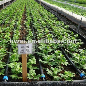 Drip irrigation system