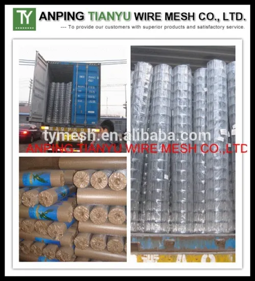 welded iron wire mesh 50x50
