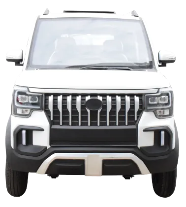 Changli Freight Car Electric Pickup Truck