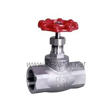 SS globe valve