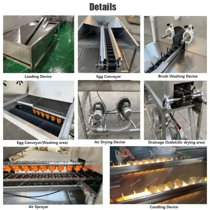 Semi-Automatic Fertilized Chicken and Duck Egg Washer for Farms