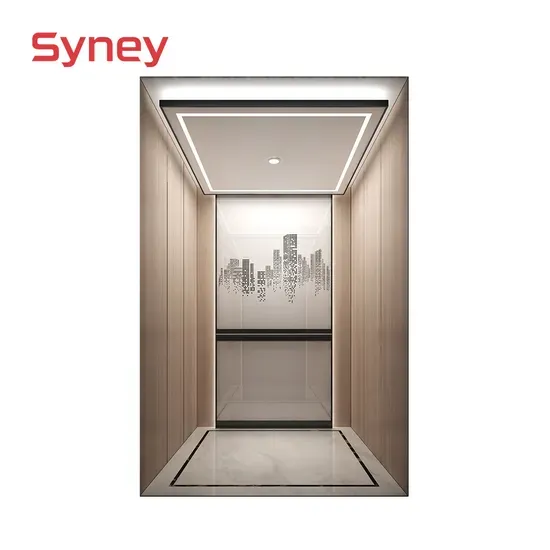 Sydney VVVF Control Residential Lifts Passenger Elevator with Machine Room