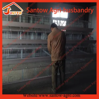 Hot sale poultry farms used chicken layer cages