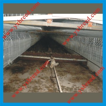 Automatic Manure Remover (SSCM)