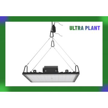 Светодиодные лампы для выращивания комнатных растений