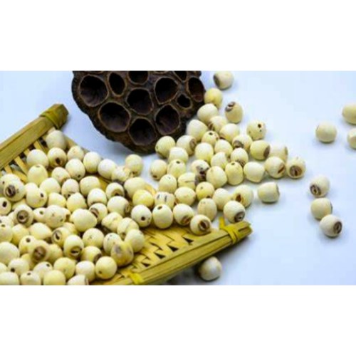 Natural High Quality Semen Nelumbinis Lotus Seed Extract
