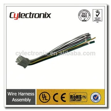 Electric vehicle stereo wiring harness
