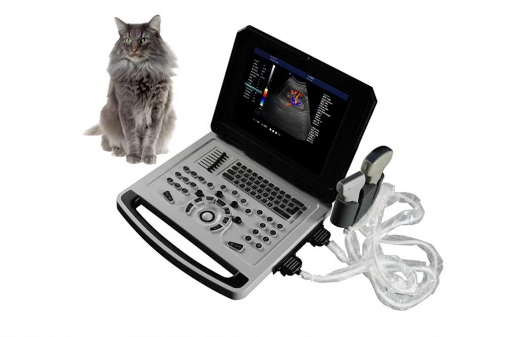 Couleur du cahier Doppler Ultrasonic Machine pour les animaux