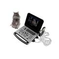 Macchina ad ultrasuoni Doppler Doppler per animali