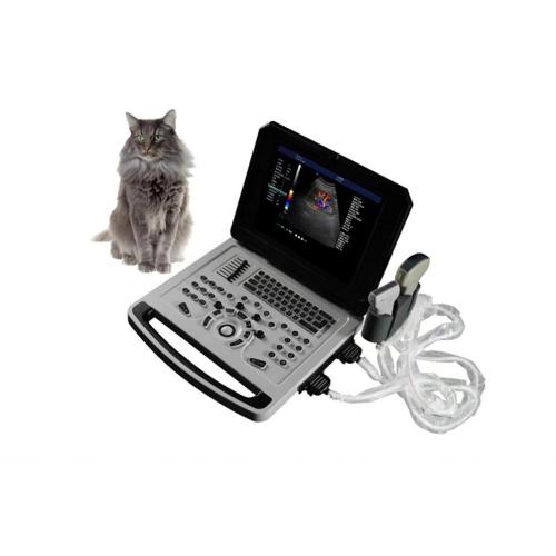 Color Doppler Scanner Notebook Color Doppler Ultrasonic Machine for Animals Supplier