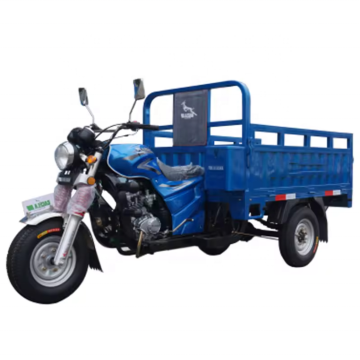 Customized 48V Cargo Trike with 250cc/200cc Engine - 5 Wheel Gasoline Powered 2-Passenger Vehicle