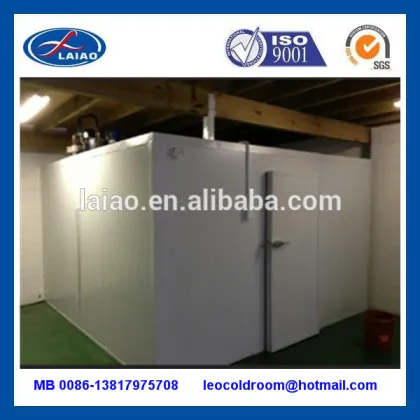 small deep freezer poultry freezer
