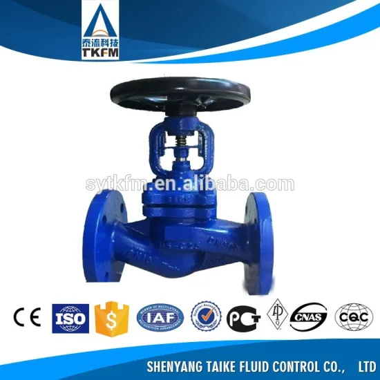 TKFM DIN Bellow Sealed Globe Valve GS-C25