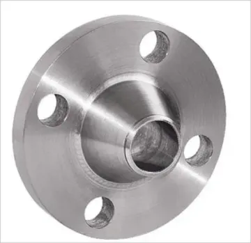 AISI 304 Stainless Steel WN Flange