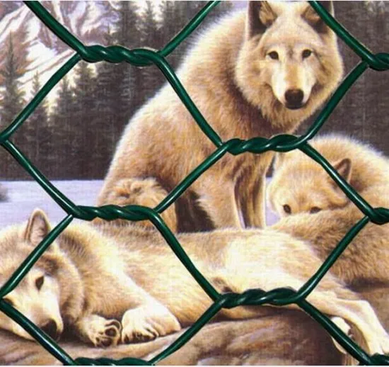 pvc coated hexagonal wire netting factory