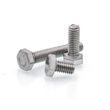 Ss201 Hex Head Bolt M20