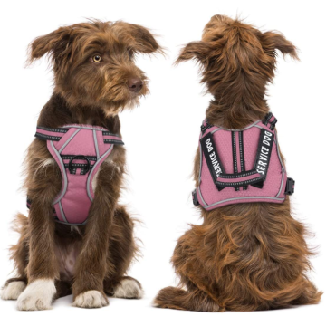 Upgrade Kain dan Harness Anjing Reflektif