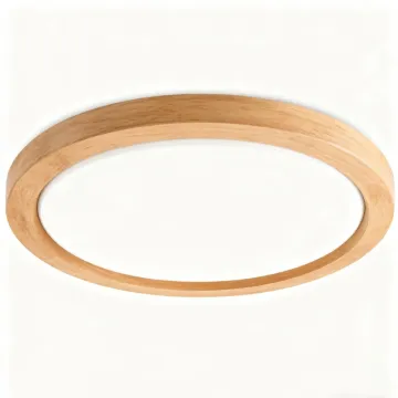 LED Ceiling Light for Warm Interior