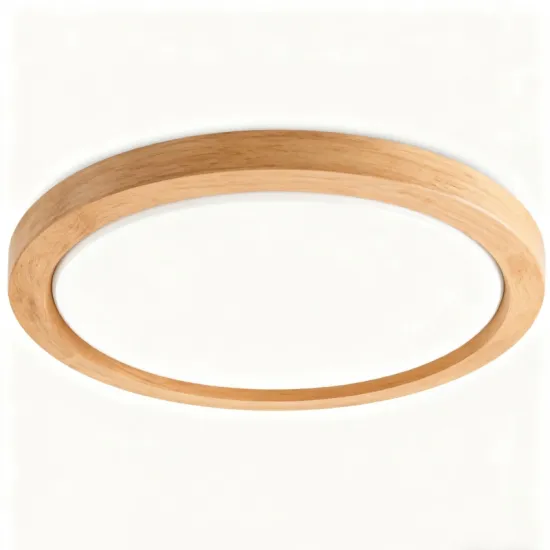 LED Ceiling Light for Warm Interior