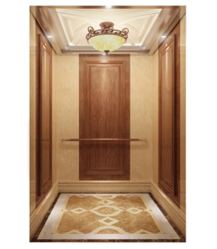 Luxury Passenger Lift with Good Price
