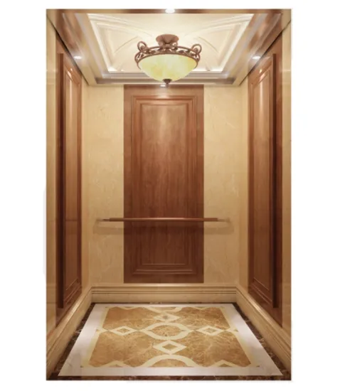 Luxury Passenger Lift with Good Price