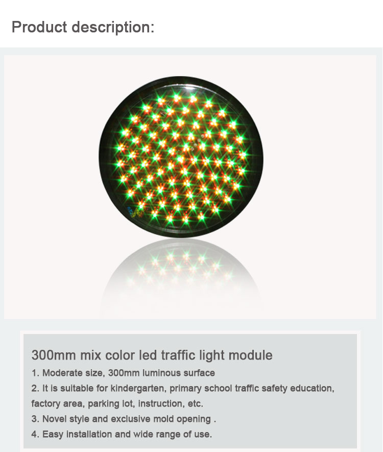 300mm-led-traffic-module_01