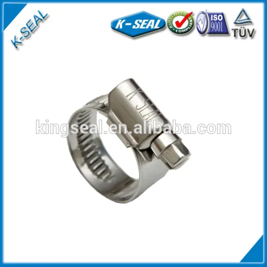 Germany Type screw clip KEBG9X150SS