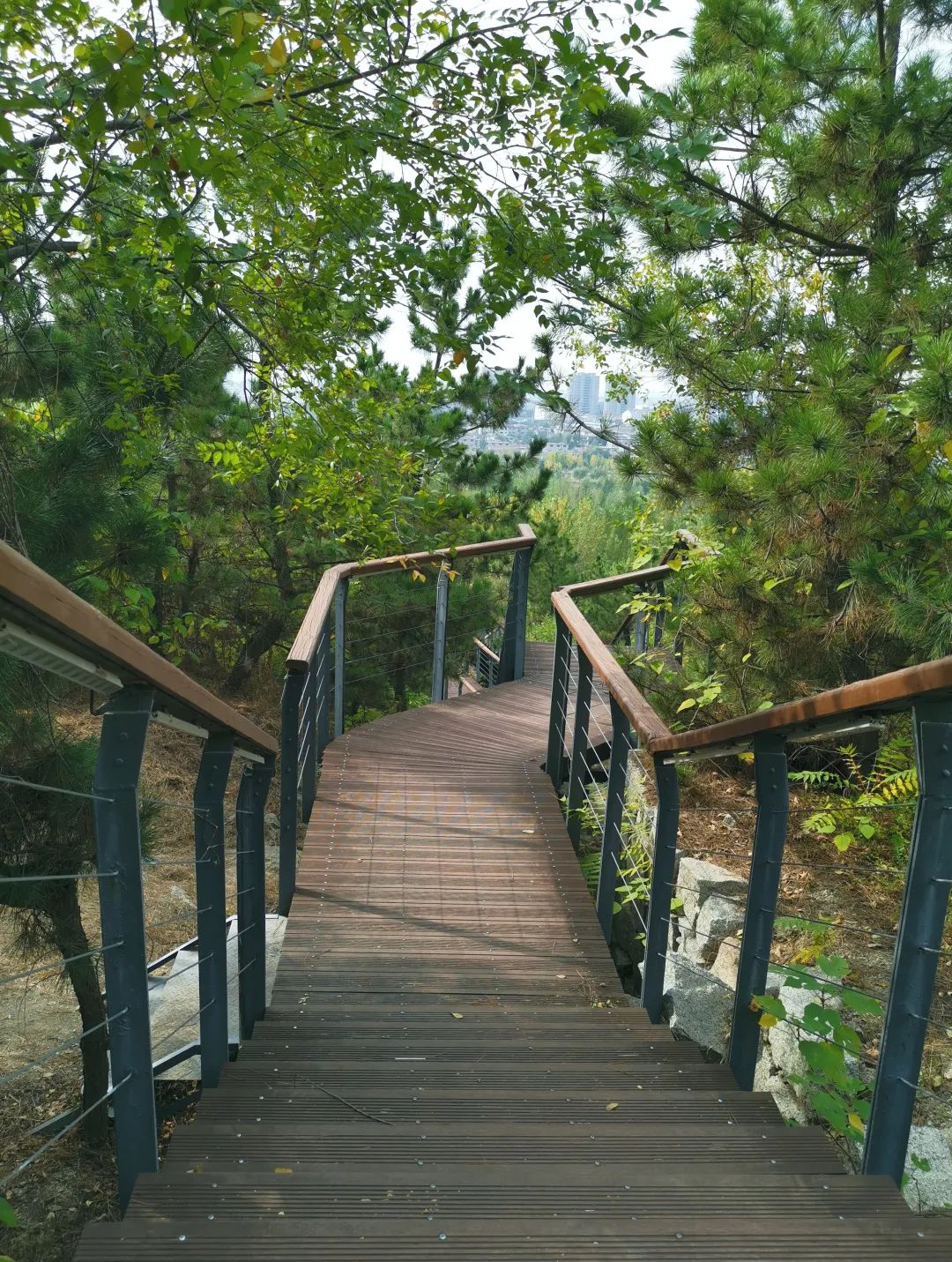 natural bamboo external staircase