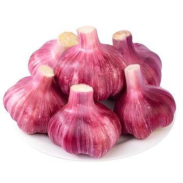 বছরব্যাপী উচ্চমানের বেগুনি রসুনের লবঙ্গ সরবরাহ