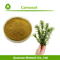 استخراج ورقة روزماري Salviol / carnosol مسحوق 8 ٪ -98 ٪