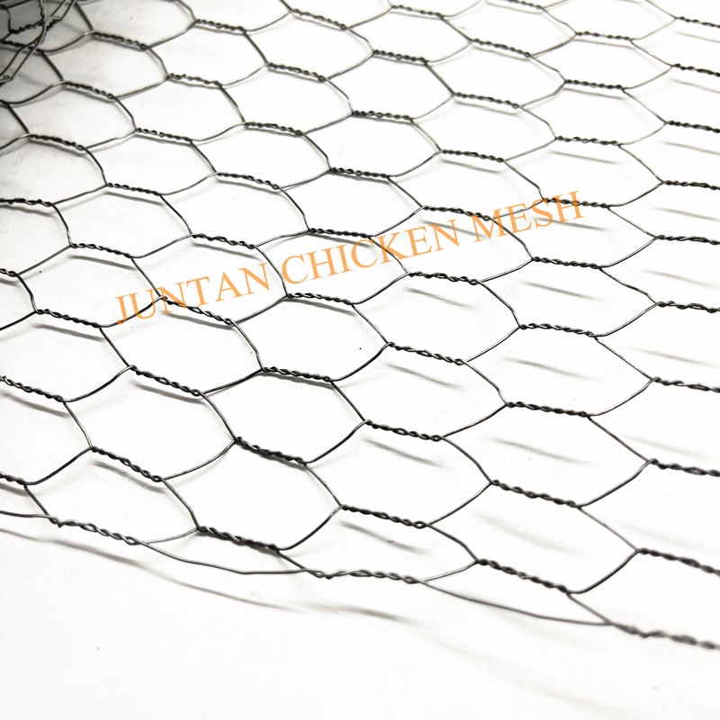 Electric Galvanized Garden Poultry Chicken Wire Netting