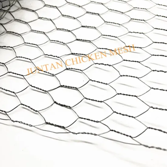 Electric Galvanized Garden Poultry Chicken Wire Netting