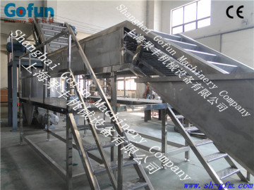 The professional supplier for SUS 304 stainless steel tomato elevator facility